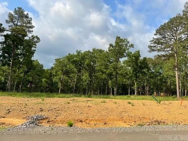 Lots & Land-Other in Conway - Conway, Arkansas, 72034
