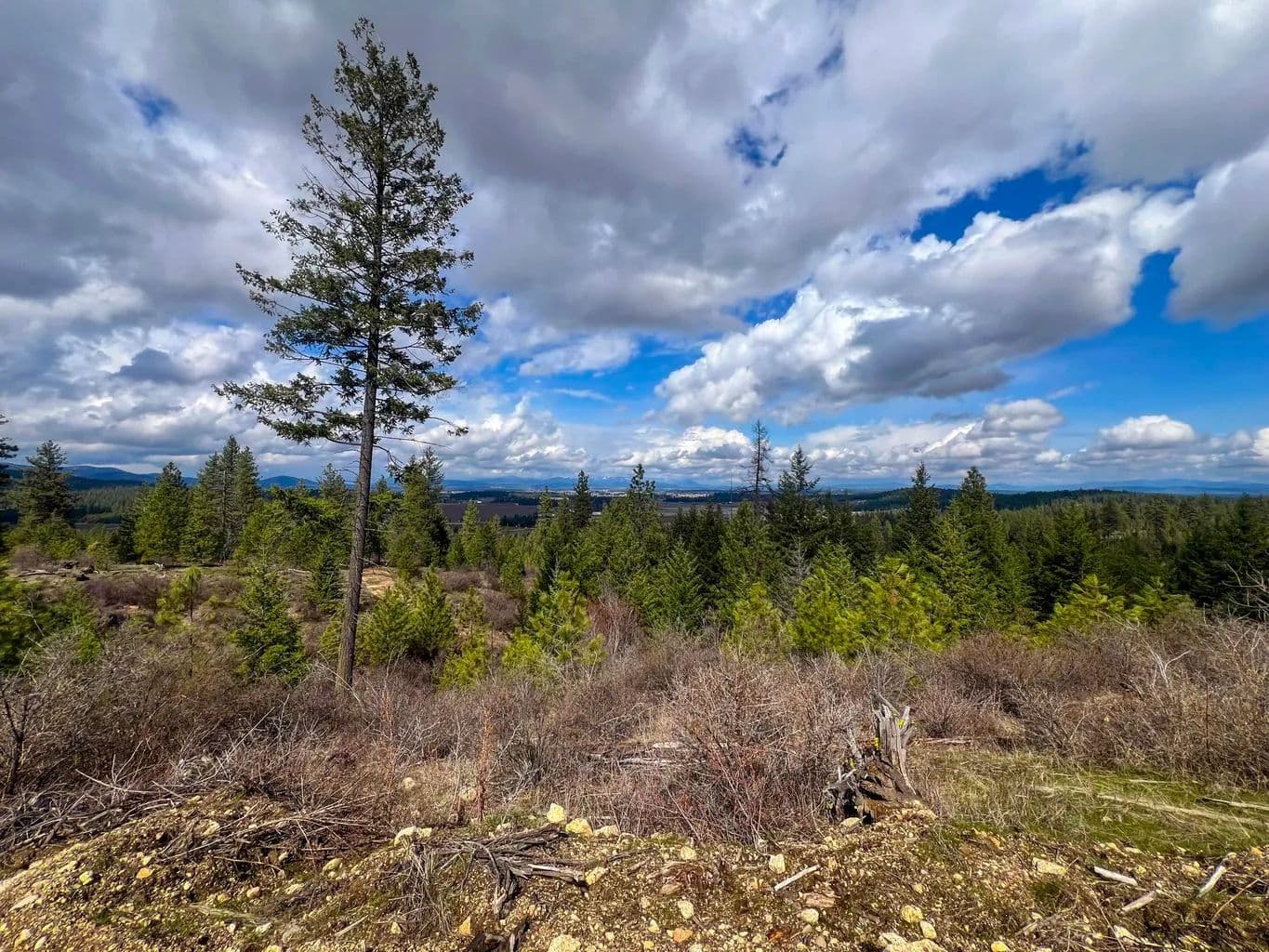 Vacant Land (10+ Acres) in Deer Park - Deer Park, Washington, 99006