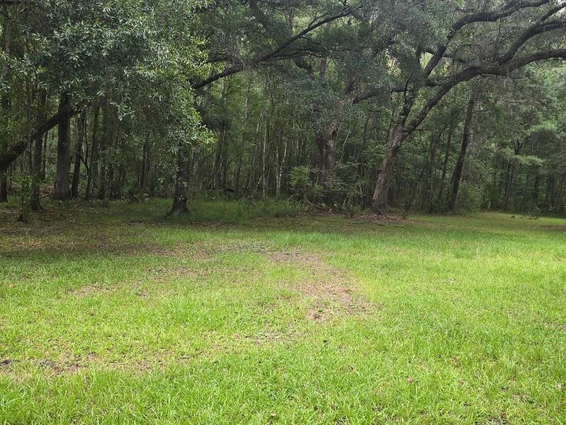 Vacant Land in Adams Run - Adams Run, South Carolina, 29426
