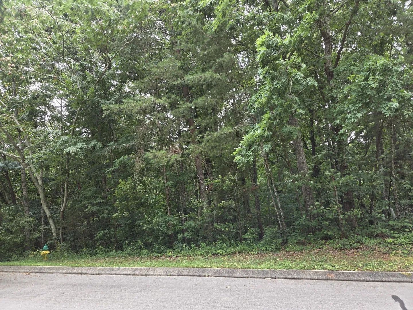 Vacant Land in Athens - Athens, Tennessee, 37303