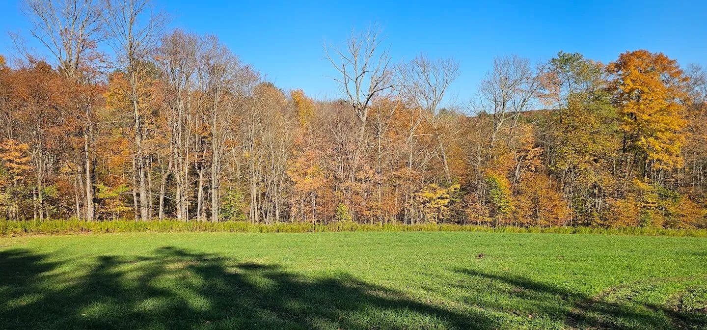 41 acres Hunting Land and Recreational Land bordering State Land in Marathon NY 1100 Courtney Hill Rd - Marathon, New York, 13803