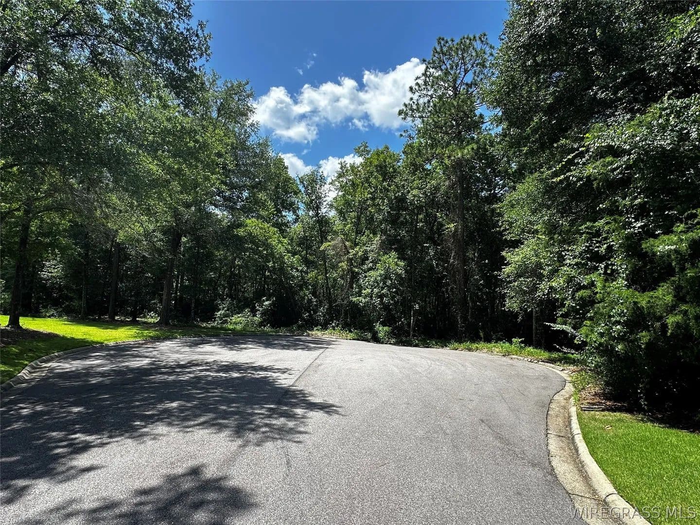 Vacant Land in Enterprise - Enterprise, Alabama, 36330
