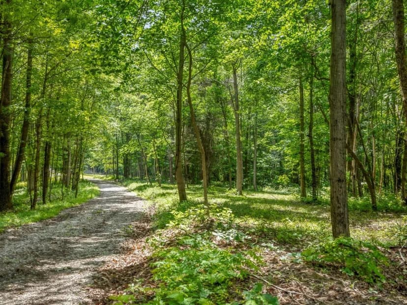 Potts Hill Rd - 59 acres