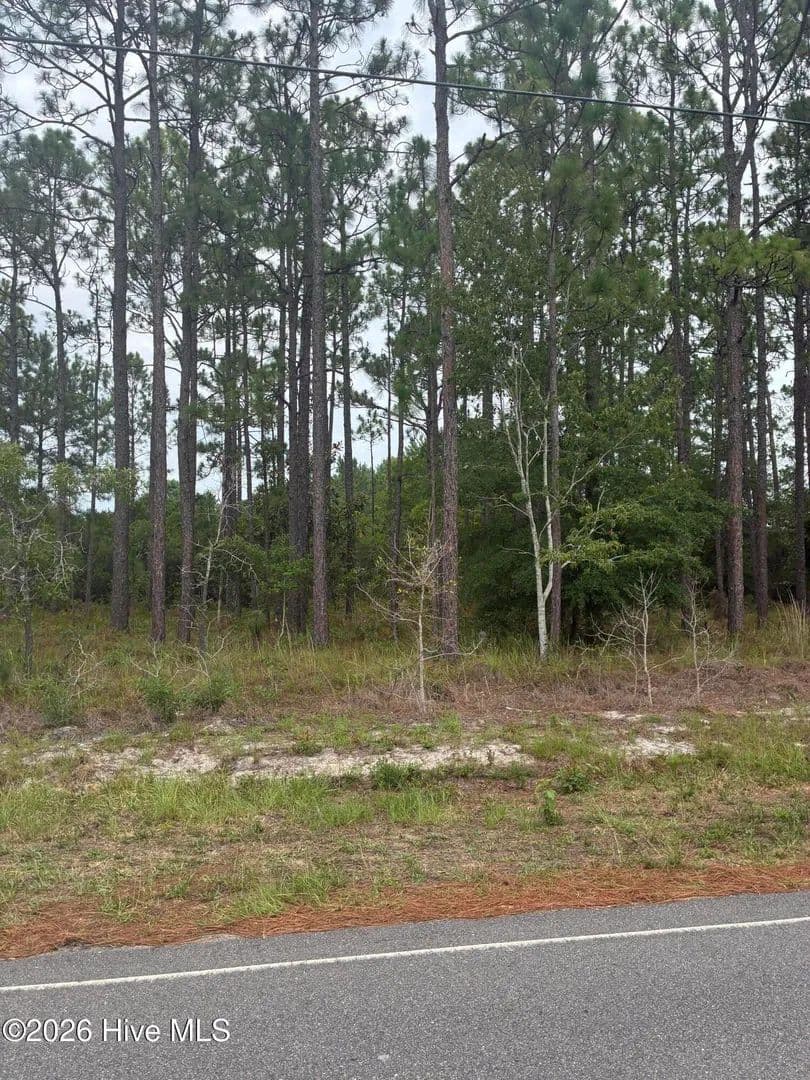 0.35 Acres of Land for Sale in Southport, NC - Southport, North Carolina, 28461