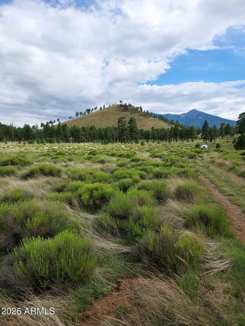 6.39 Acres of Land for Sale in Flagstaff, AZ - Flagstaff, Arizona, 86001