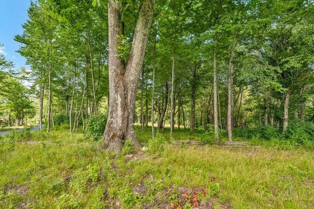1.68 Acres of Land for Sale in Banner Elk, NC - Banner Elk, North Carolina, 28604
