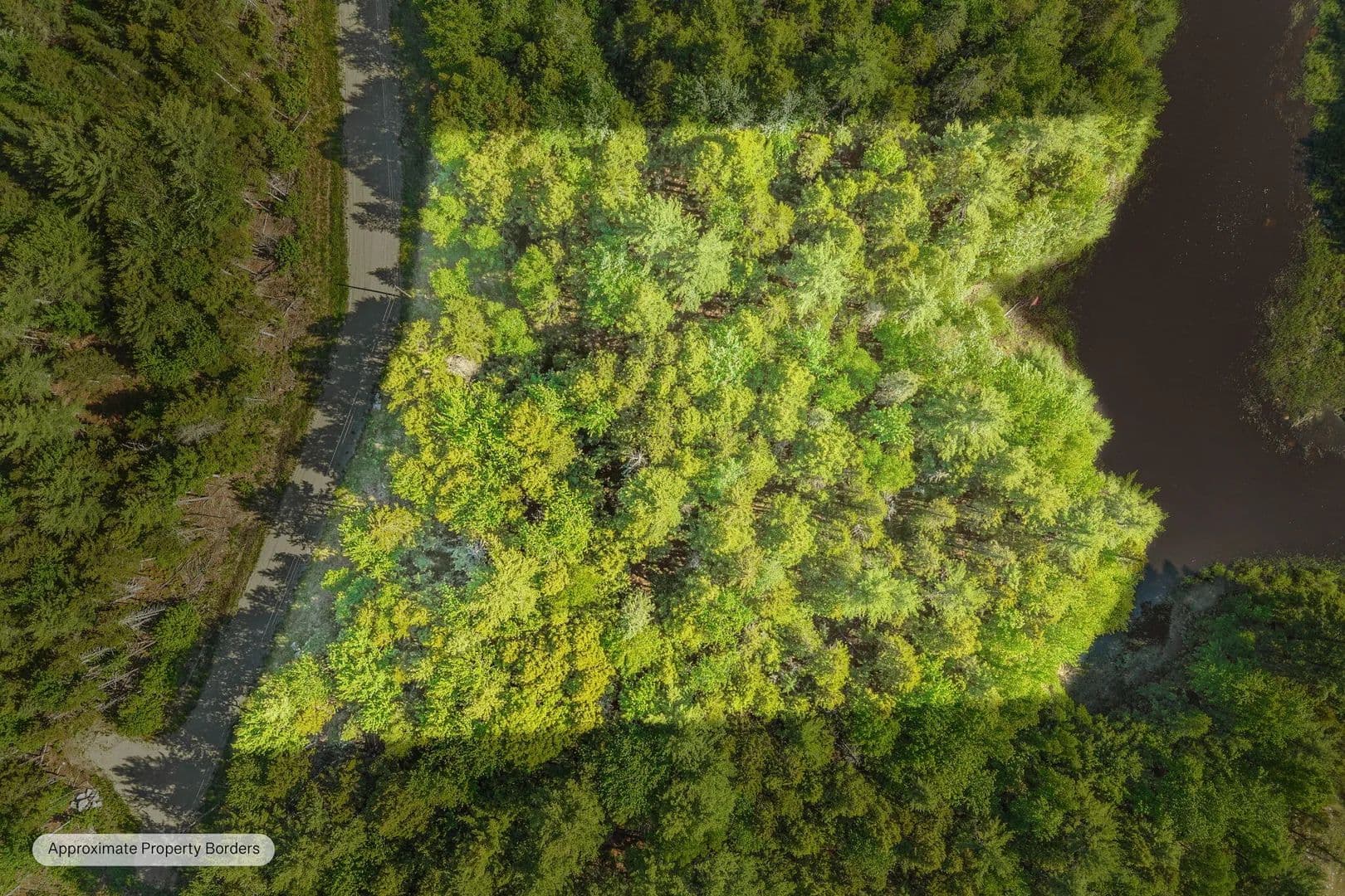 Vacant Land in Waltham - Waltham, Maine, 04605