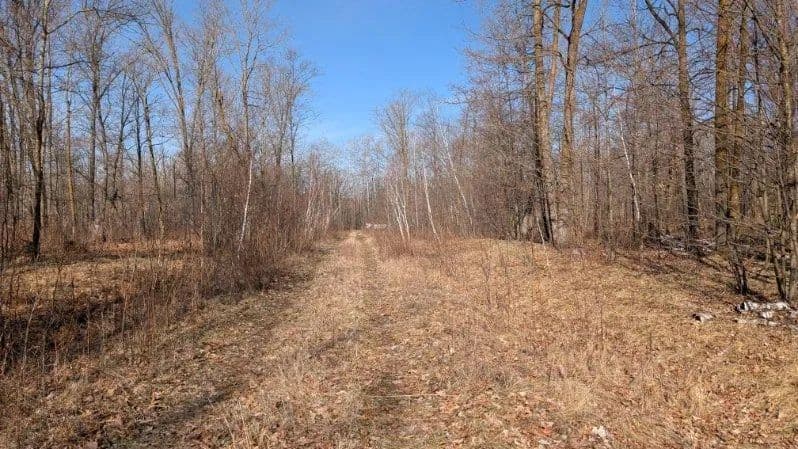 Vacant Land in Pequot Lakes