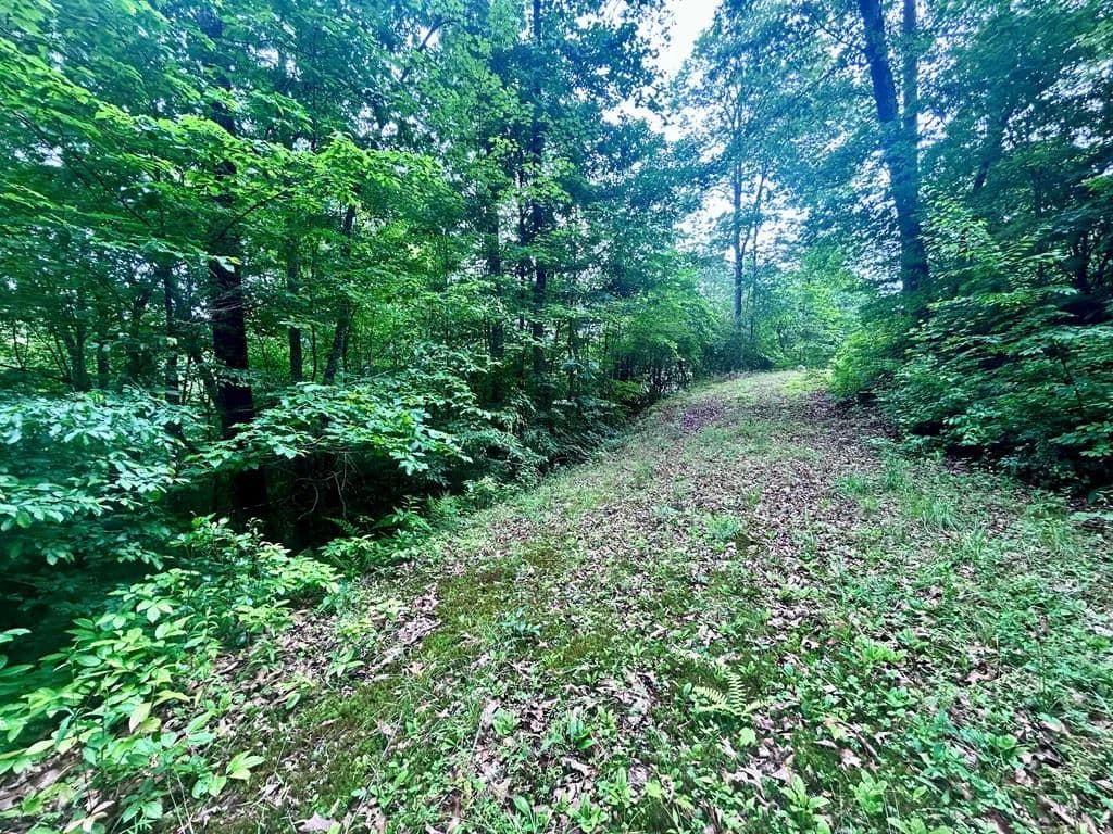 Property from Lot 5 Antler Ridge Rd - KW - Franklin, North Carolina, 28734