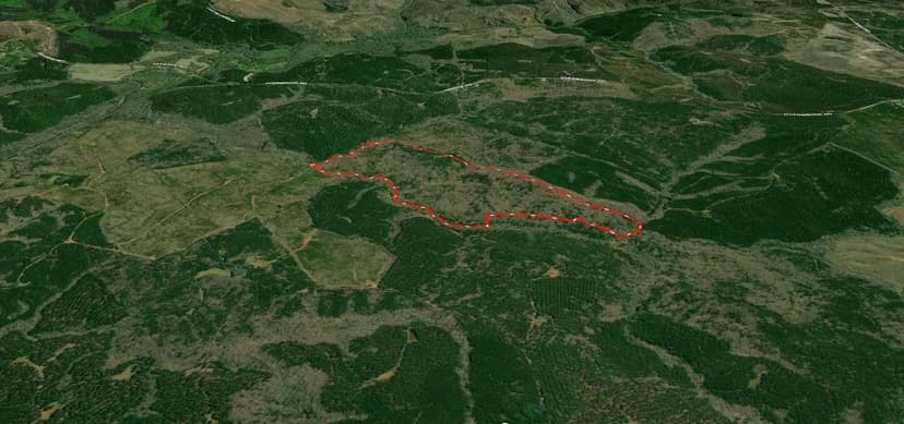 +/- 119.50ac - 000 Overbrook Rd Kershaw SC - Lancaster Co