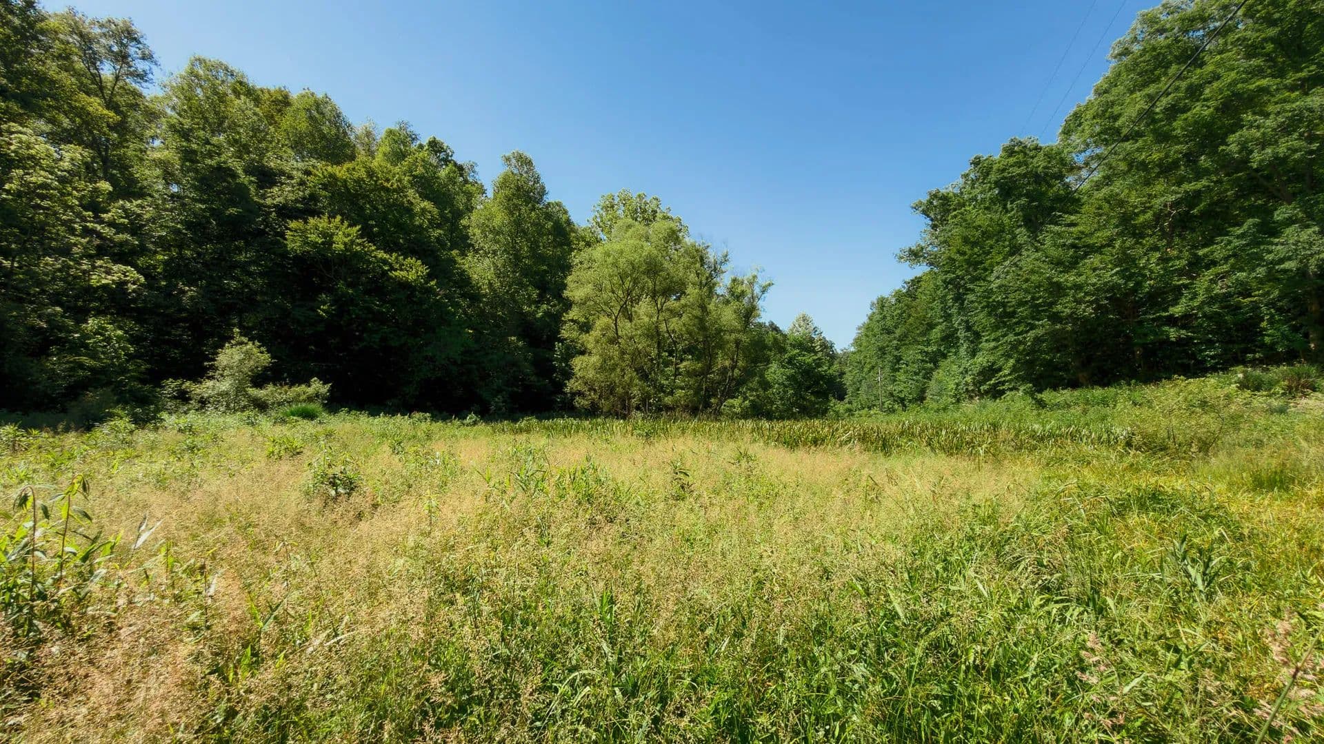 Property from 820 Shooting Fork Road - KW - Campton, Kentucky, 41301