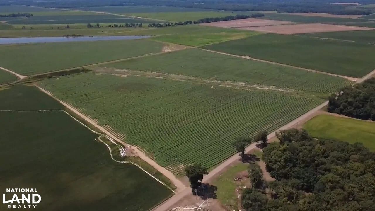 Dial Creek Corners Farm - Holly Grove, Arkansas, 72069