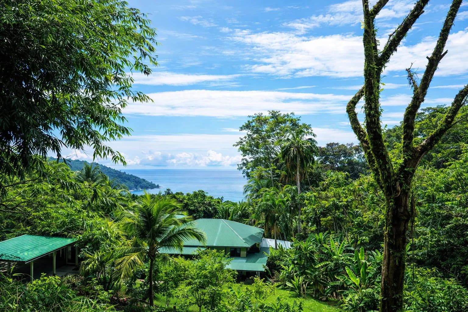 Vacant Land in Dominical - land for sale