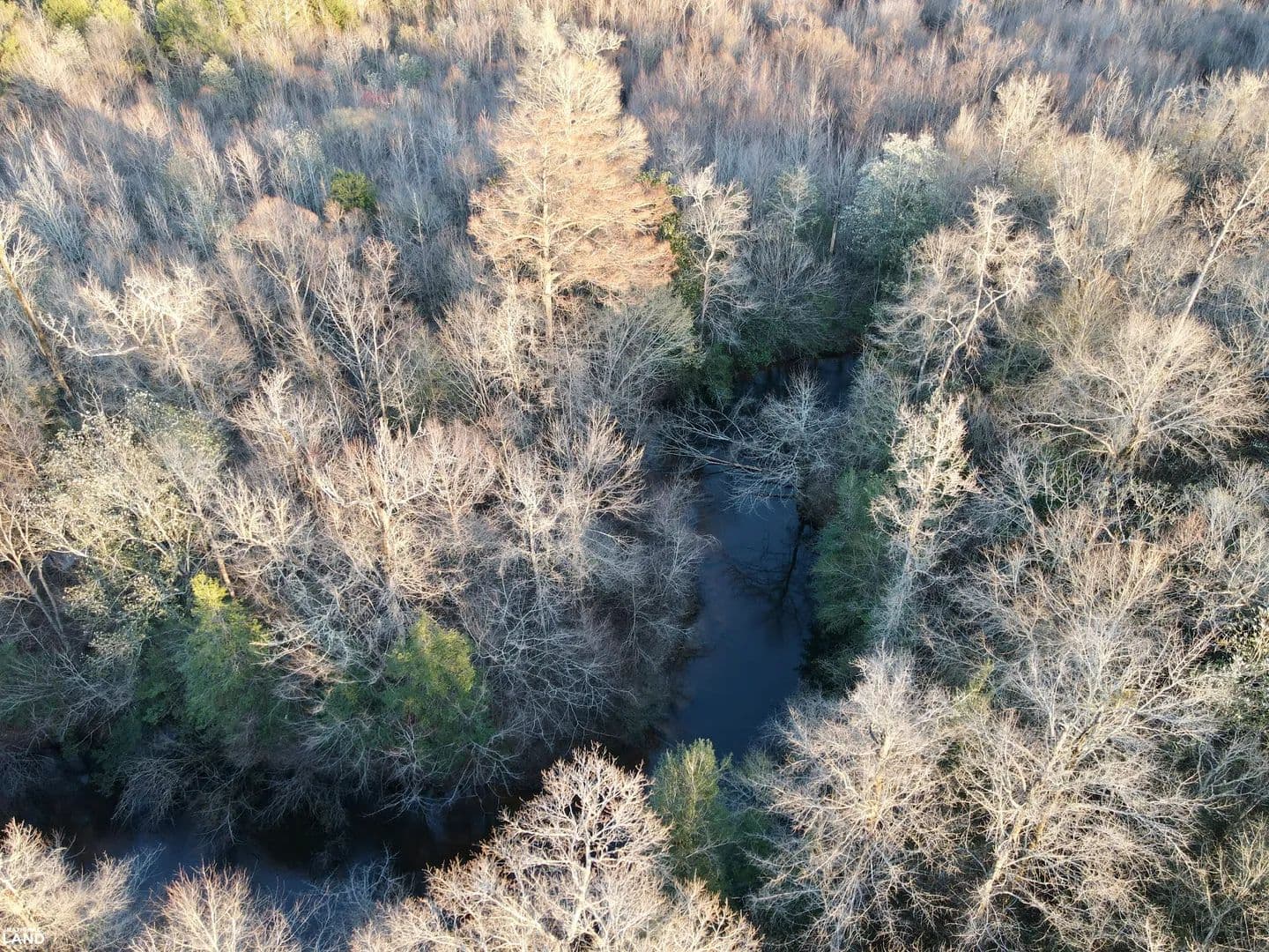 Evergreen West Creek & Hardwood Tract - Evergreen, Alabama, 36401