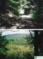 Property from Pantherlick Road - KW