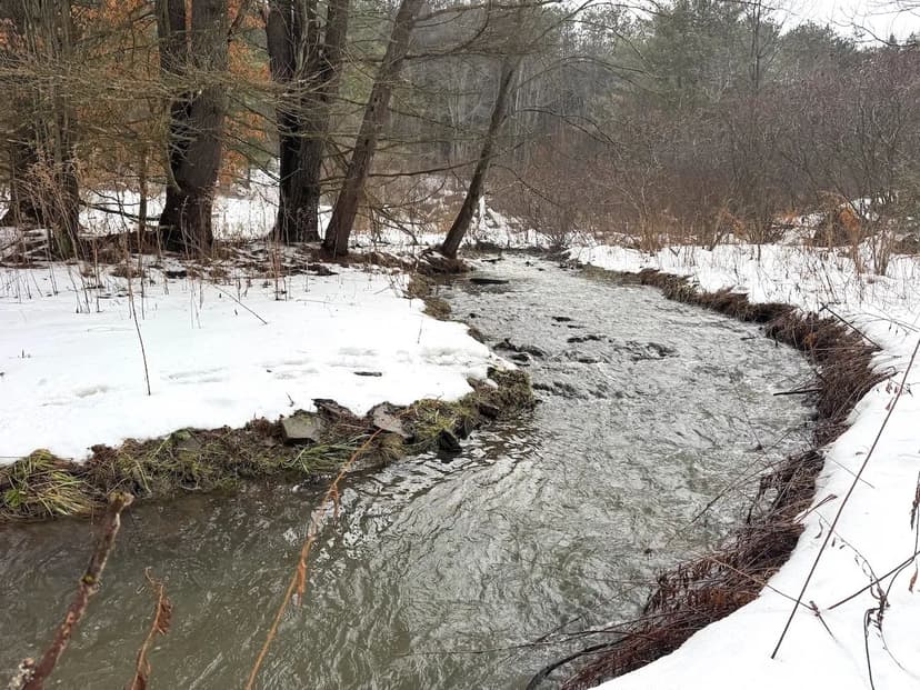 90 acres Hunting Land and Recreational Land with Creek in Bolivar NY County Road 5