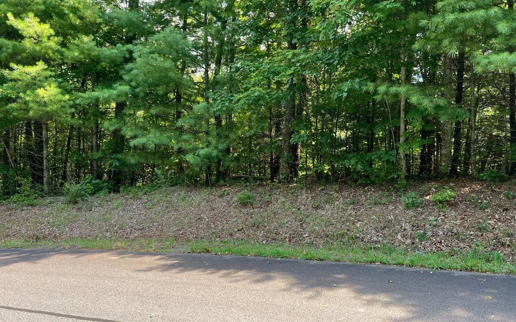 Lots & Land-Other in Hayesville - Hayesville, North Carolina, 28904