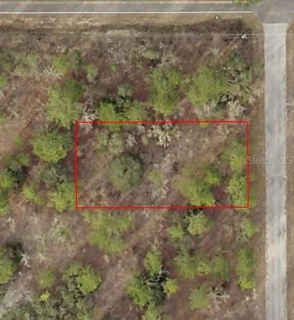 Lots & Land-Other in DUNNELLON - Dunnellon, Florida, 34431