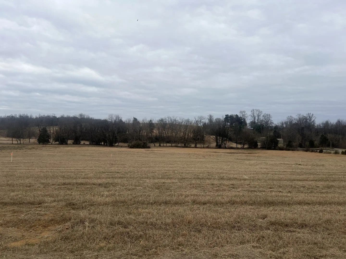 Lots & Land-Other in Moss - Moss, Tennessee, 38575