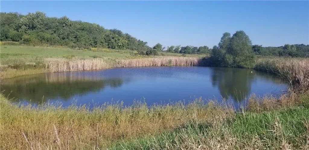 Property from E 180th Street - KW - Richmond, Missouri, 64085