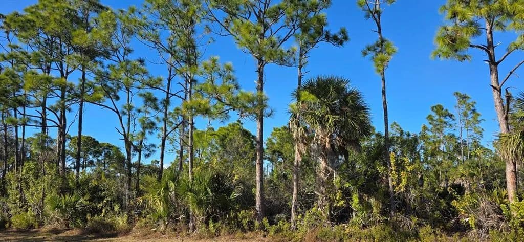 Vacant Land in Port Charlotte - Port Charlotte, Florida, 33981