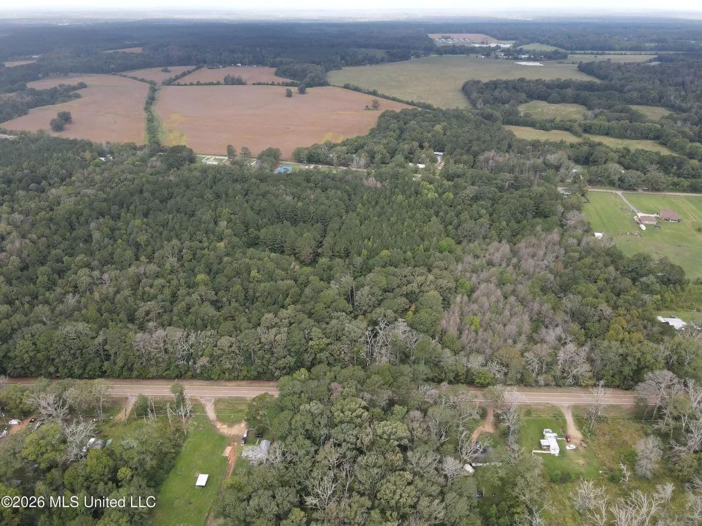 Highway 35 Land for Sale, Forest, Scott County MS - Forest, Mississippi, 39074