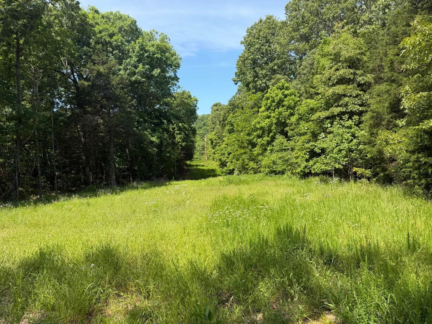 Property from 000 County Road 318 #Lot 5 - KW - Tecumseh, Missouri, 65760