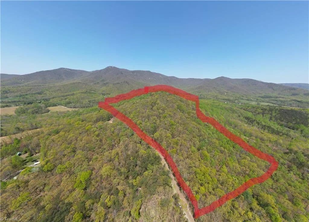 Vacant Land (10+ Acres) in Lowgap - Lowgap, North Carolina, 28024