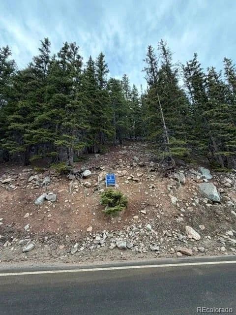 Vacant Land in Idaho Springs - Idaho Springs, Colorado, 80452