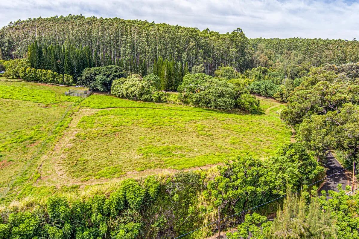Vacant Land in Laupahoehoe - Laupahoehoe, Hawaii, 96774