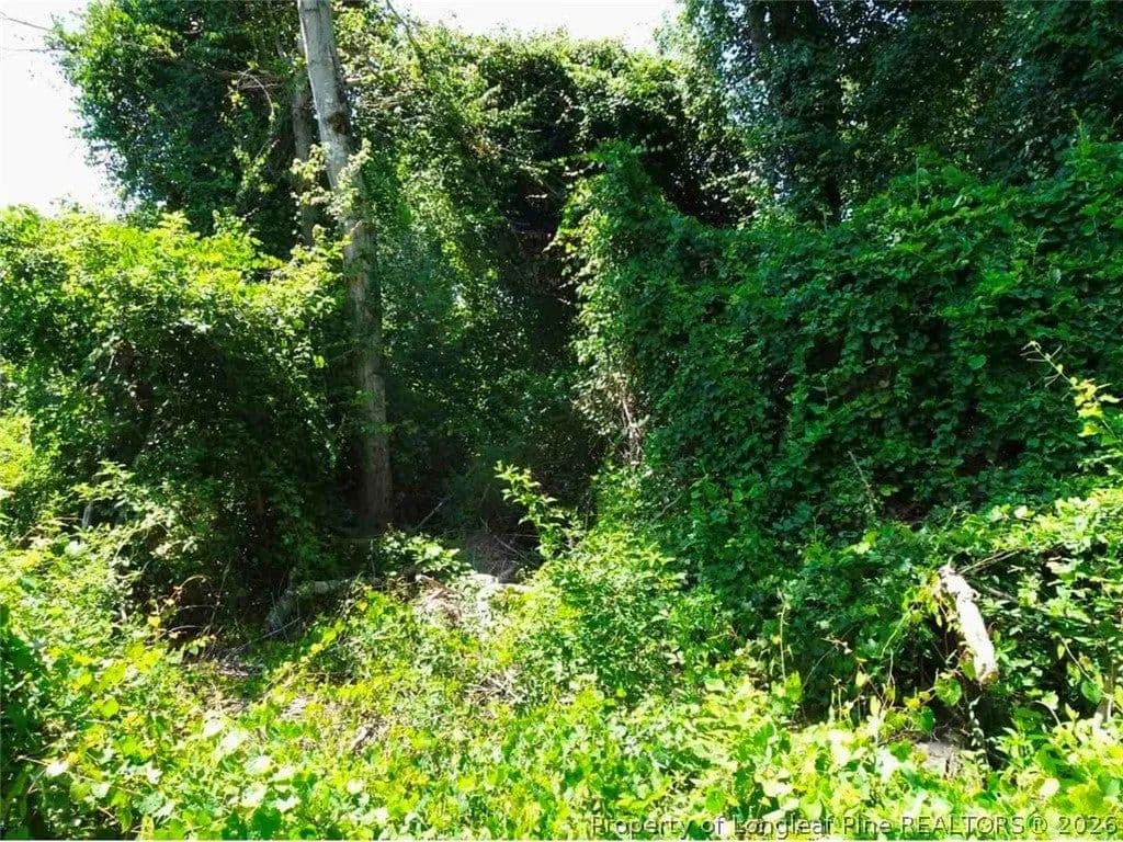 Lots & Land-Other in Eastover - Eastover, North Carolina, 28312