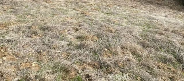 Vacant Land in Ridgecrest - Ridgecrest, California, 93555
