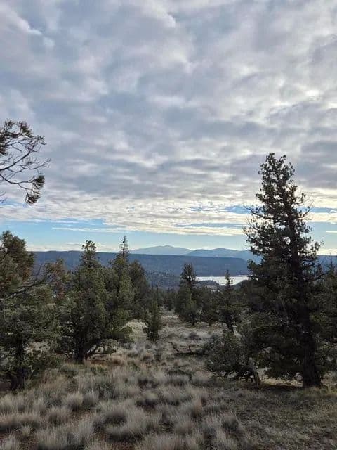 Land -Single Family Acreage in Prineville