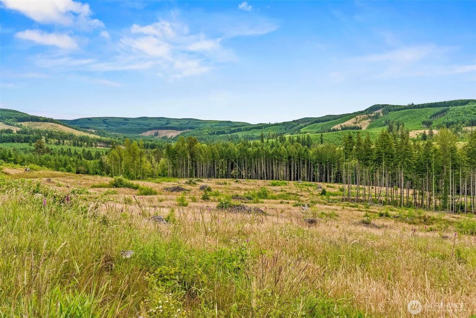 Vacant Land in Toutle - Toutle, Washington, 98649