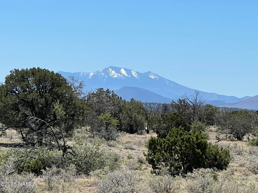 Lots & Land-Other in Williams
