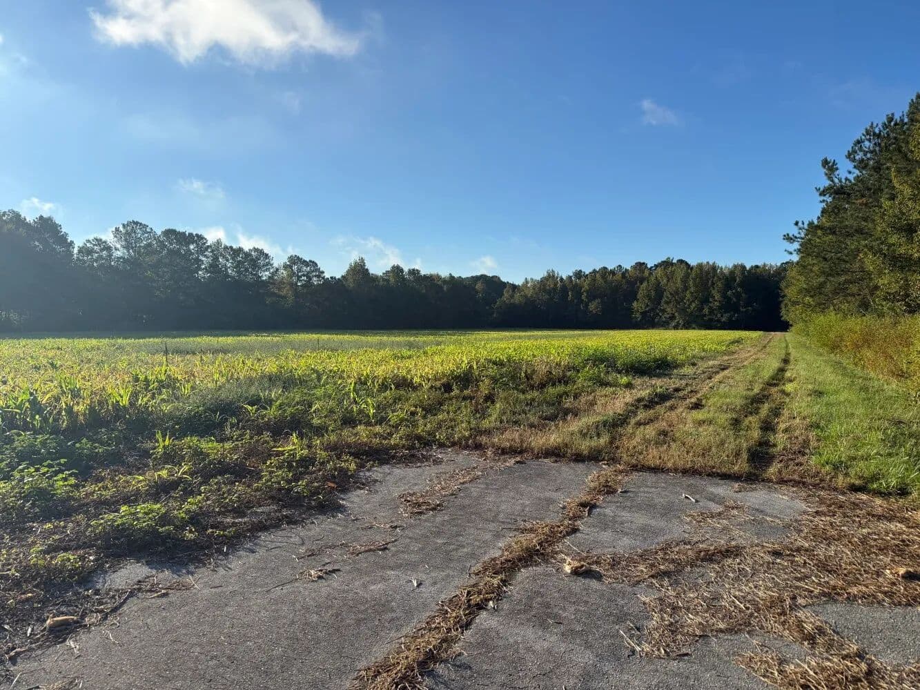Chadbourn Platted Subdivision - Chadbourn, North Carolina, 28431