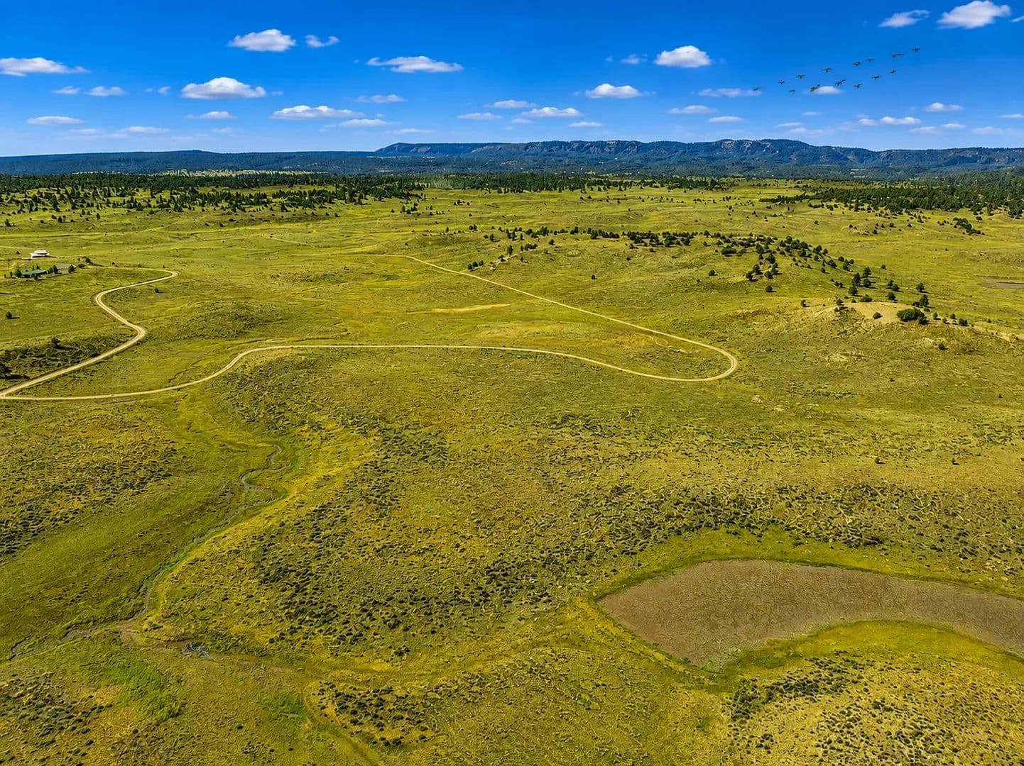 10 Acres of Land for Sale in Chama, NM - Chama, New Mexico, 87520