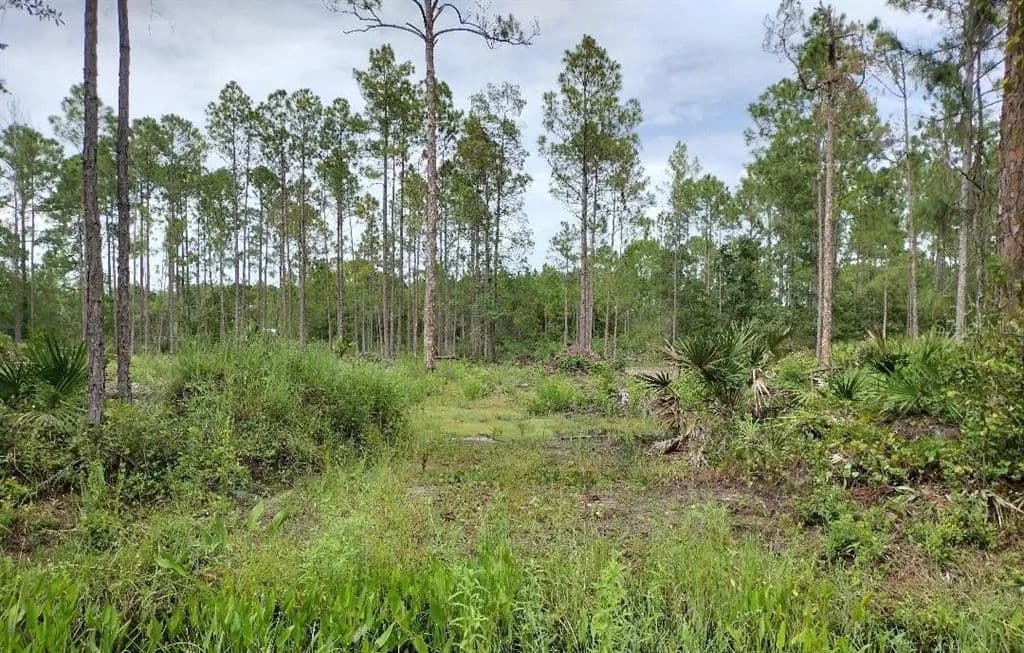 Vacant Land in Bunnell - Bunnell, Florida, 32110