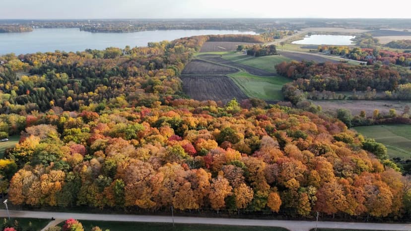 Vacant Land in Waconia