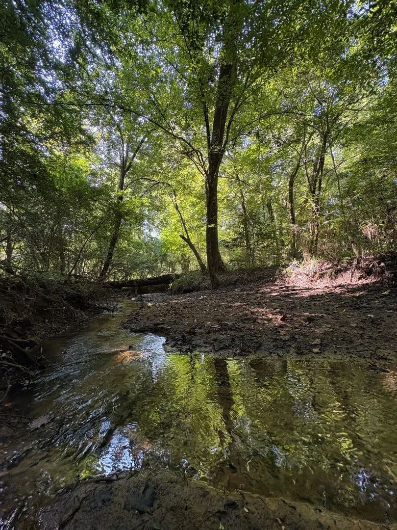 Can Creek 360 - Rutledge, Alabama, 36071