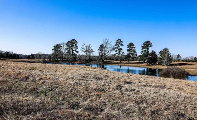 Property from TBD County Road 317 - KW
