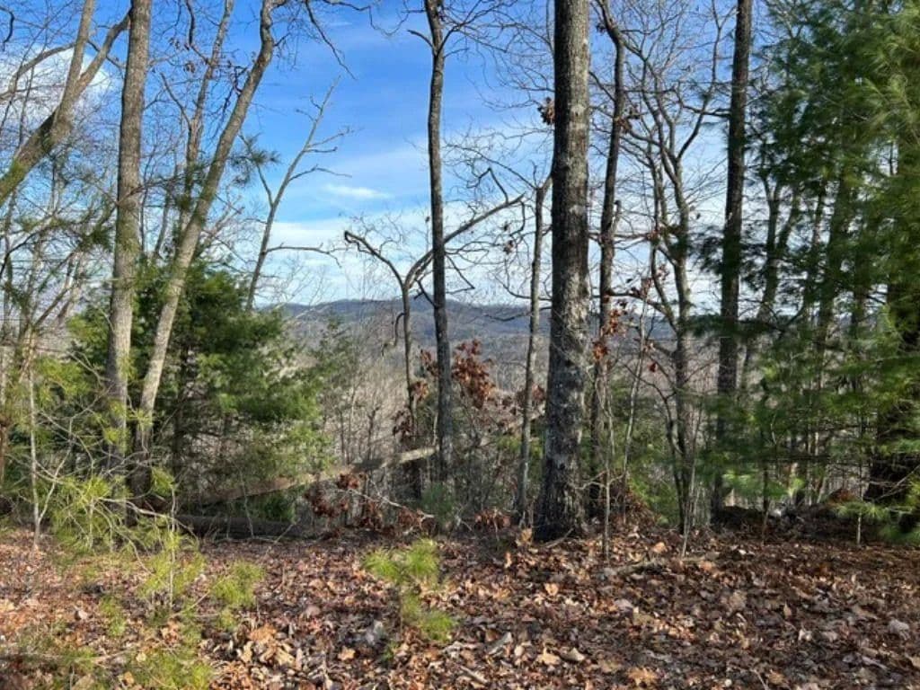 Property from Lot 46 Mission Ridge - KW - Hayesville, North Carolina, 28904