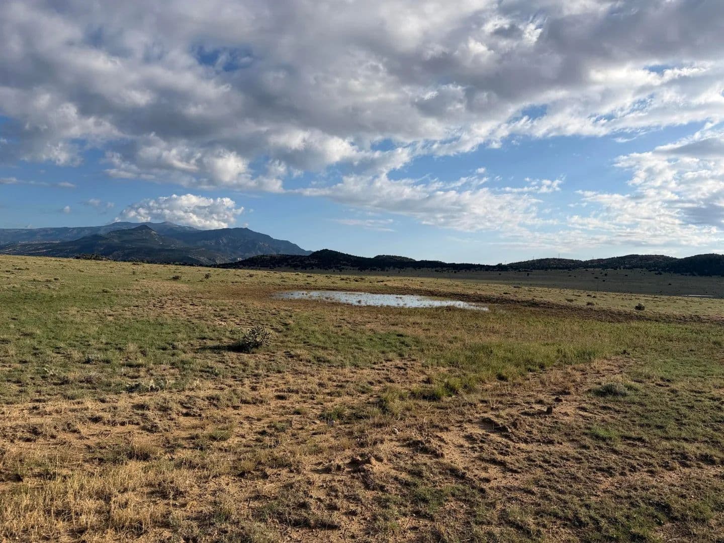 Lot 190 Black Hills, Gardner, CO 81040 - Gardner, Colorado, 81040
