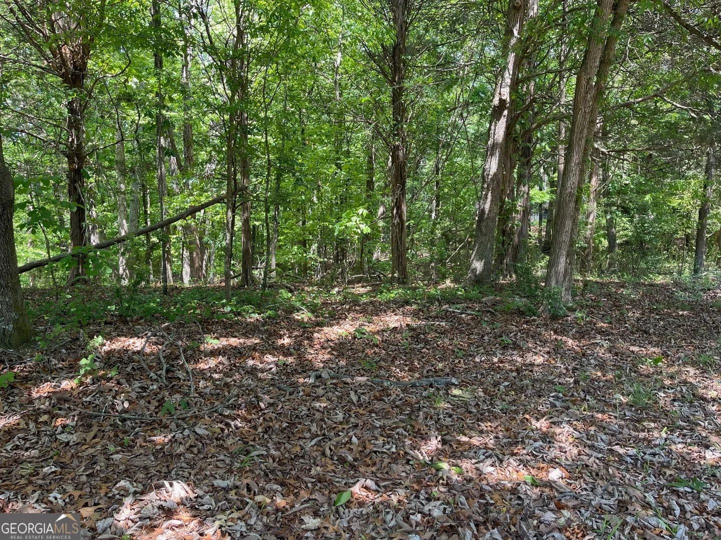 4.92 Acres of Land for Sale in Cave Spring, GA - Cave Spring, Georgia, 30124
