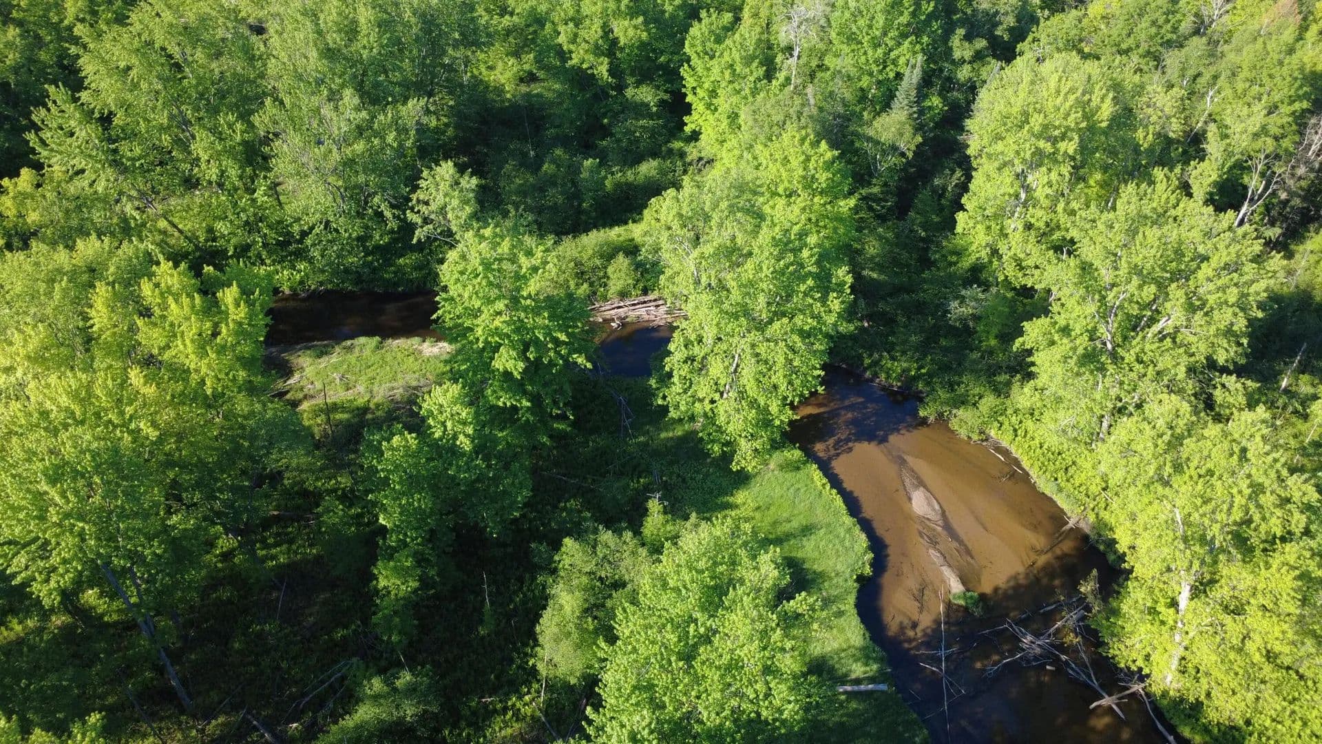 Lots & Land-Other in Marion - Marion, Michigan, 49665
