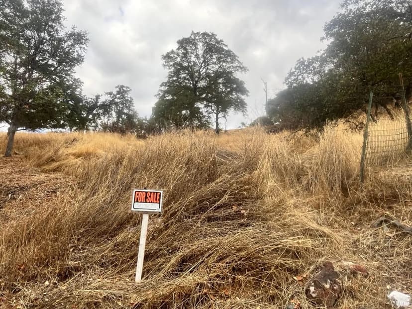 Lots & Land-Other in Clearlake