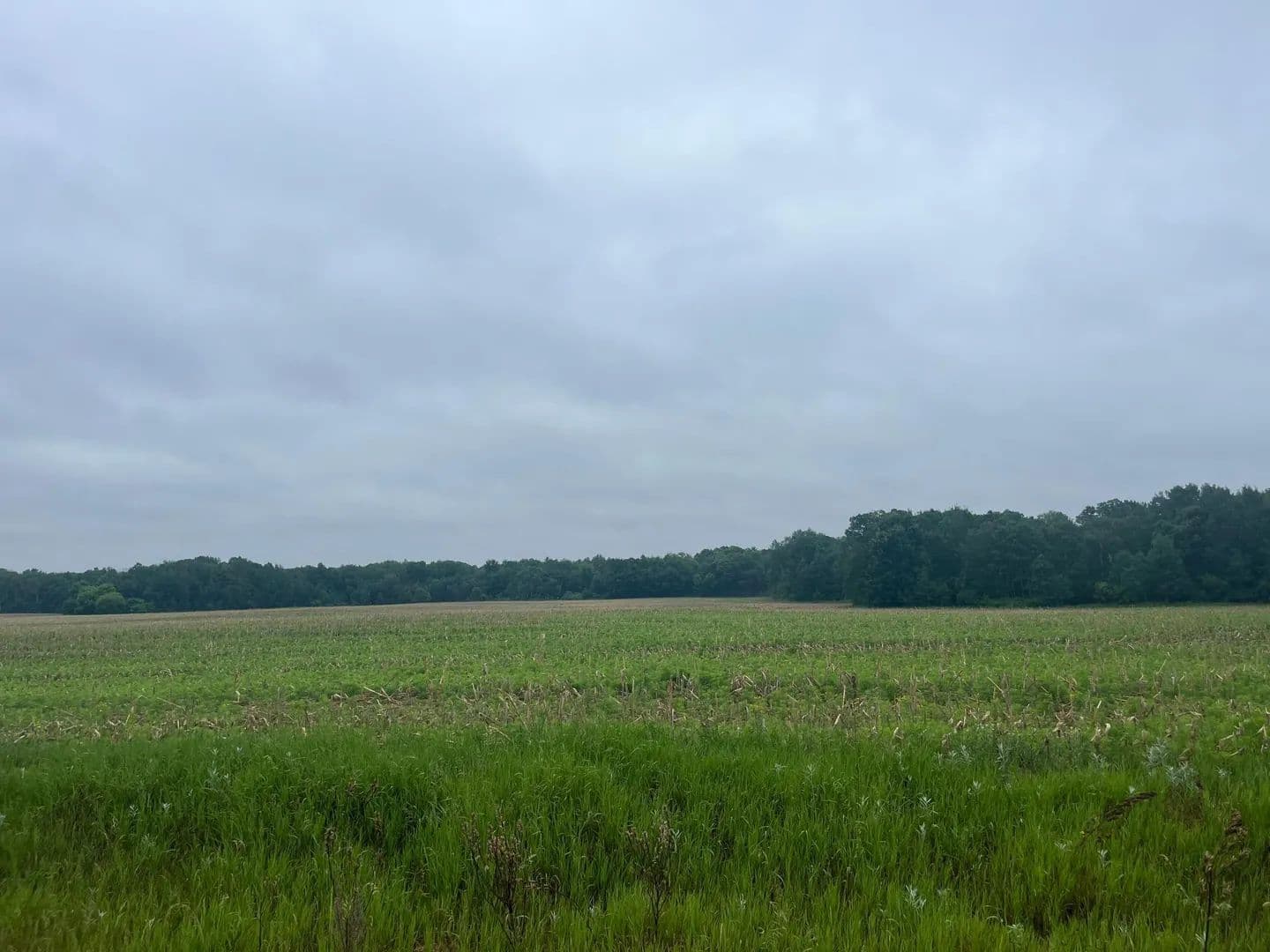 Property from TBD (Lot 3) Hemingway Avenue - KW - North Branch, Minnesota, 55056