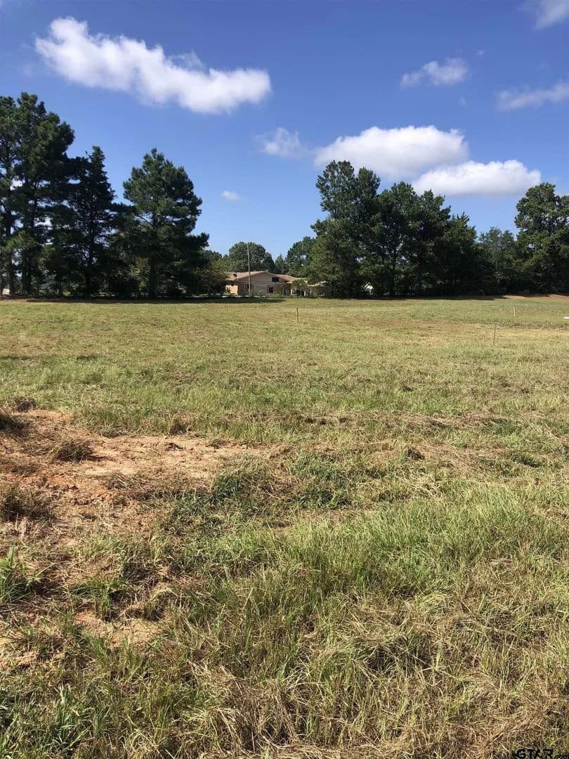 Lots & Land-Other in Naples - Naples, Texas, 75568