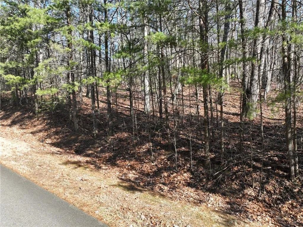 3 Acres of Land for Sale in Ellijay, GA - Ellijay, Georgia, 30536