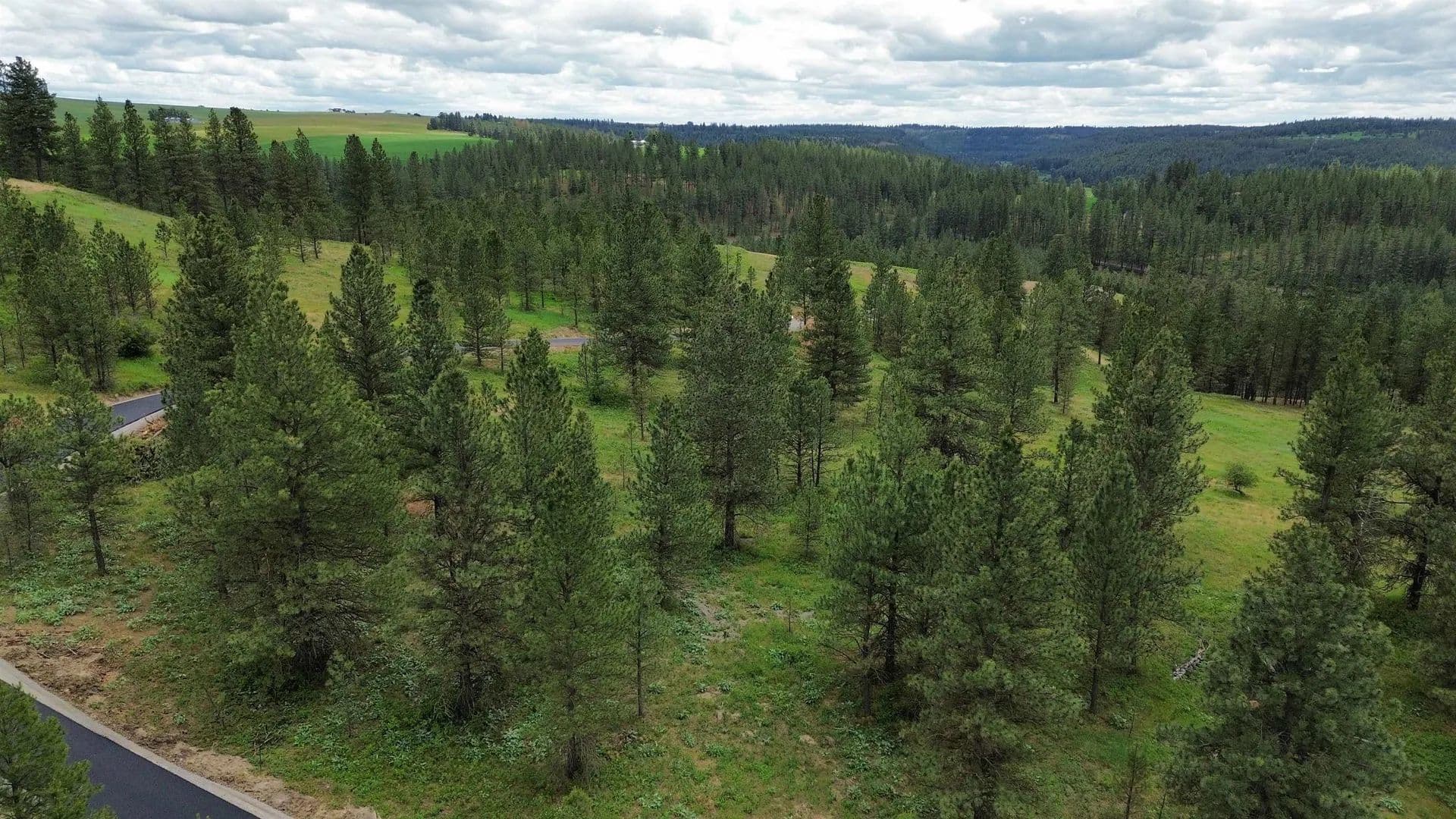 5.37 Acres of Land for Sale in Valleyford, WA - Valleyford, Washington, 99036